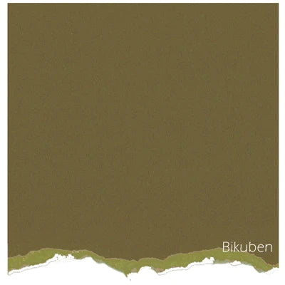 Ranger Tim Holtz - Coredinations - Crushed Olive Distressed