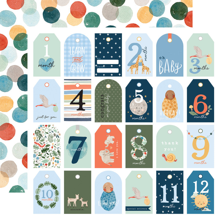 Echo Park - Welcome Baby Boy - Boy Tags