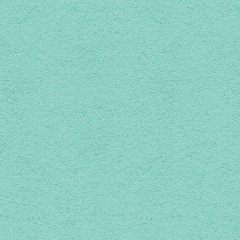 12X12 My Colors Cardstock -  Pale Aqua